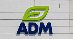 company/10